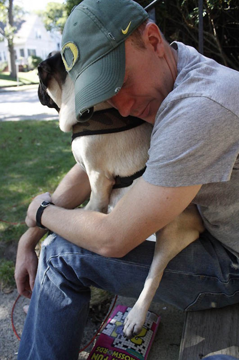 Life tips from Murphy the Dog