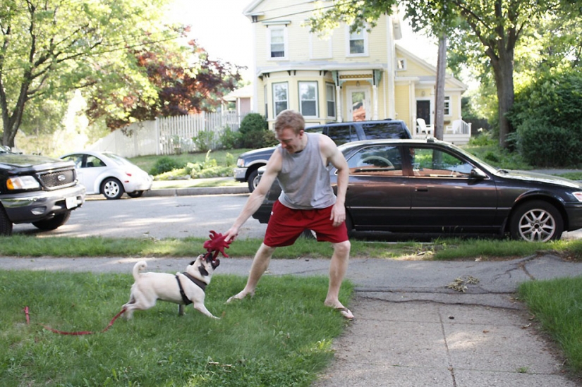 Life tips from Murphy the Dog