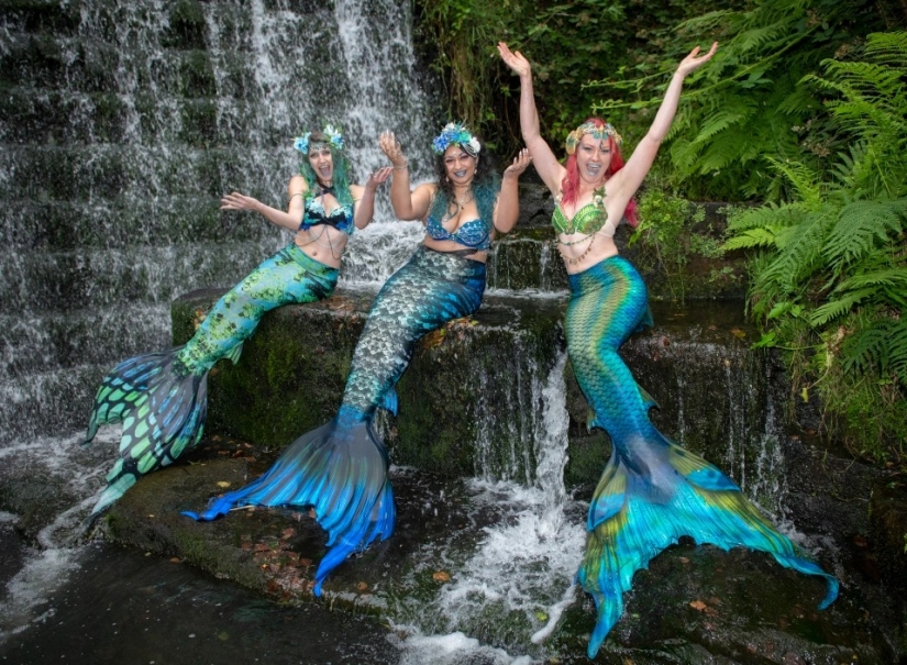 Like a fish in water: professional mermaids returned to aquariums after quarantine Like a fish in water: professional mermaids returned to aquariums after quarantine