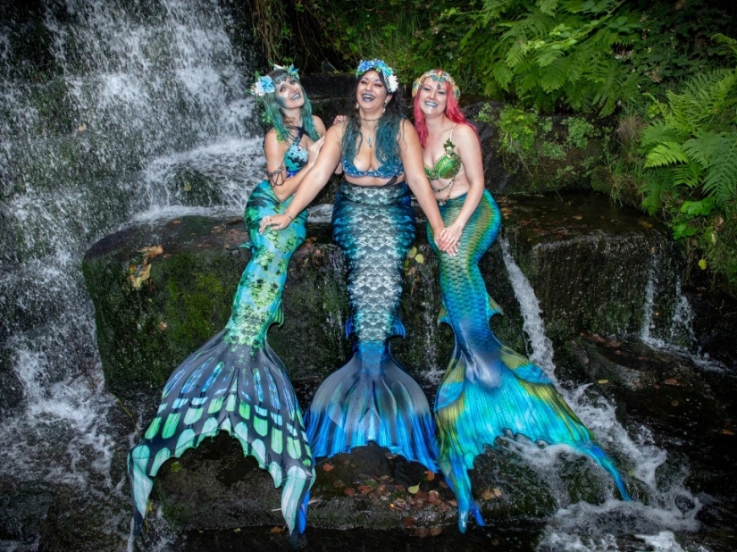 Like a fish in water: professional mermaids returned to aquariums after quarantine Like a fish in water: professional mermaids returned to aquariums after quarantine