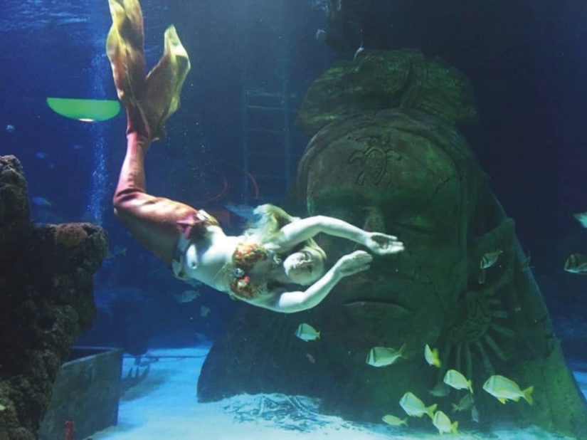 Like a fish in water: professional mermaids returned to aquariums after quarantine Like a fish in water: professional mermaids returned to aquariums after quarantine