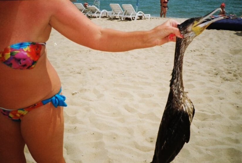 Longing for the sea: A selection for those who have not gone anywhere Longing for the sea: A selection for those who have not gone anywhere