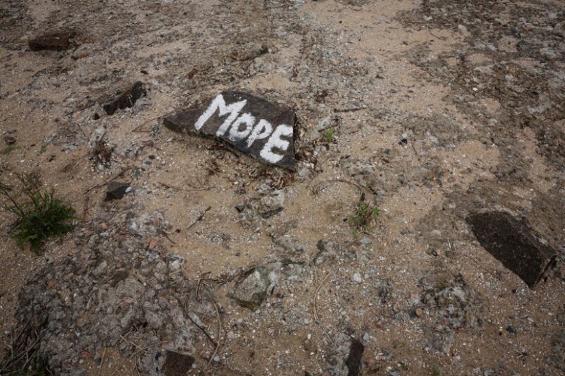 Longing for the sea: A selection for those who have not gone anywhere Longing for the sea: A selection for those who have not gone anywhere