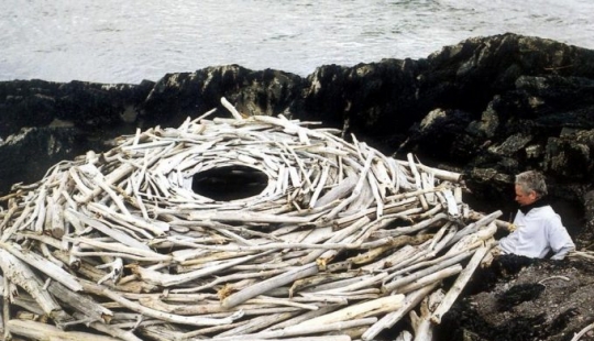 Los 10 mejores documentales de todos los tiempos, según la crítica