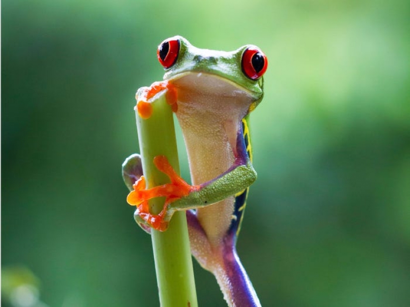 Los 13 mejores programas de televisión de la década, según los fanáticos Los 13 mejores programas de televisión de la década, según los fanáticos