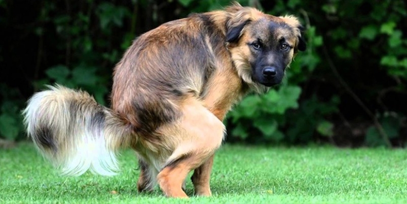 Los 25 Tratamientos Más Increíbles de la Historia