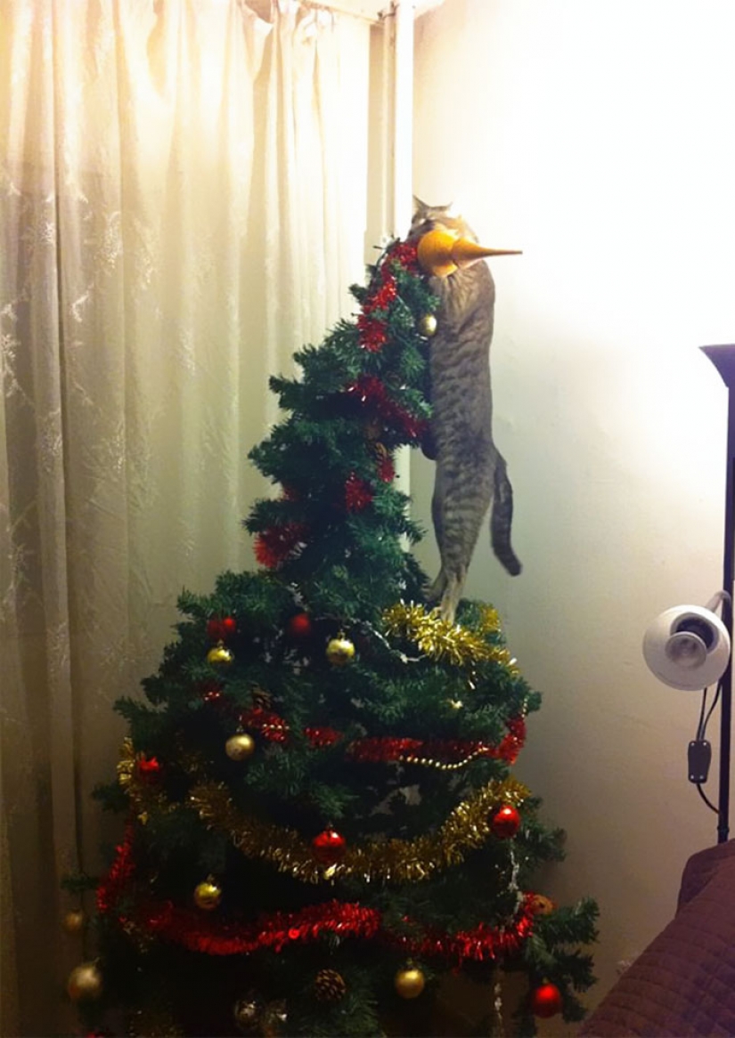 Los animales que odian la Navidad y año Nuevo