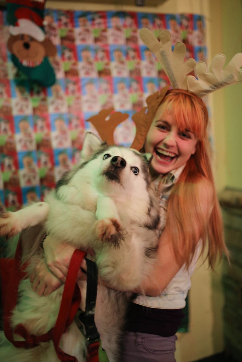 Los animales que odian la Navidad y año Nuevo