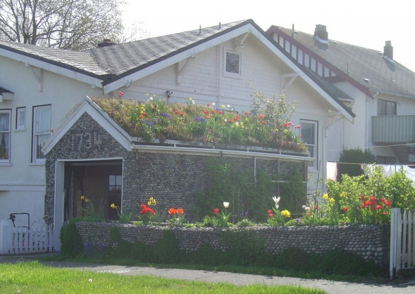 Los arquitectos de estas casas han demostrado que en el jardín se puede romper hasta en el techo