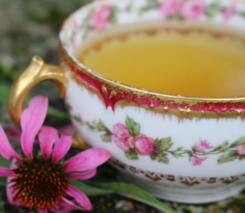 Los beneficios de los diferentes tipos de té.