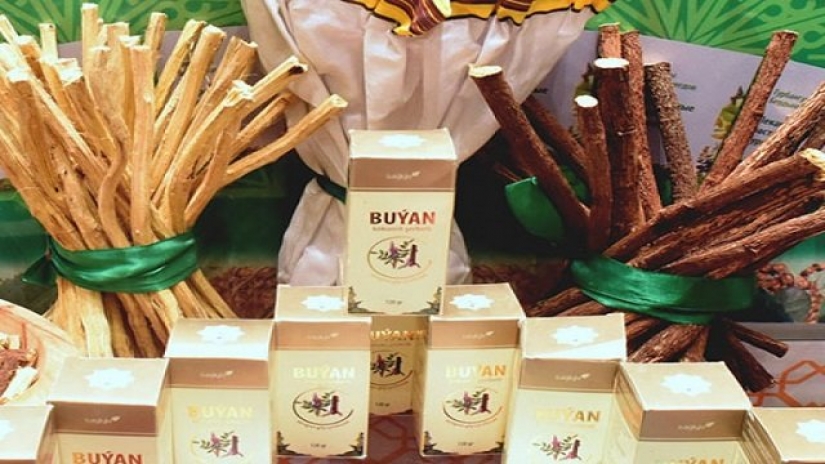 Los fideos en el saxaul en Turkmenistán están luchando con coronavirus con las raíces y la pasta