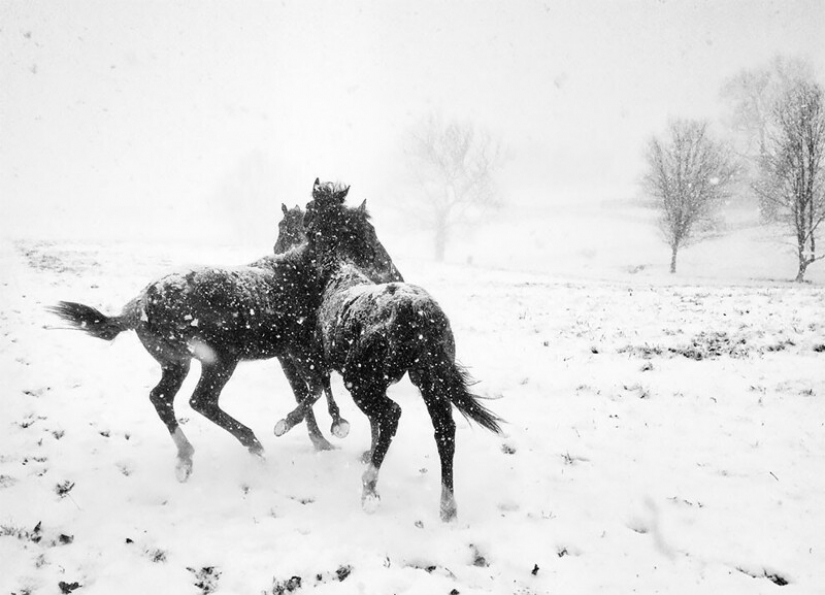 Los ganadores del 10º concurso de fotografía con móviles Mobile Photography Awards-2021 Los ganadores del 10º concurso de fotografía con móviles Mobile Photography Awards-2021
