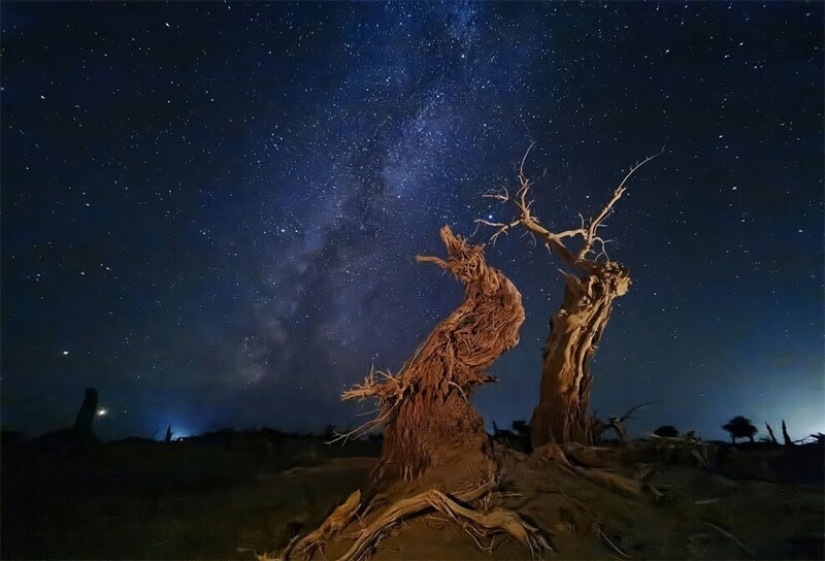 Los ganadores del 10º concurso de fotografía con móviles Mobile Photography Awards-2021 Los ganadores del 10º concurso de fotografía con móviles Mobile Photography Awards-2021