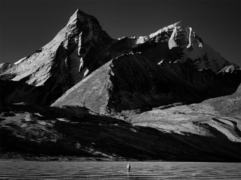 Los ganadores del 10º concurso de fotografía con móviles Mobile Photography Awards-2021 Los ganadores del 10º concurso de fotografía con móviles Mobile Photography Awards-2021