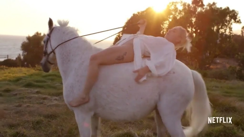 Los mejores documentales de música pop