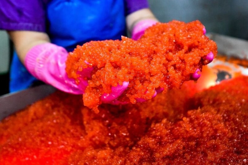 Los proveedores advirtieron que el caviar rojo subirá de precio en 20-60% Los proveedores advirtieron que el caviar rojo subirá de precio en 20-60%