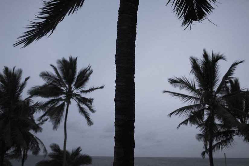 "Love! She's not here!": Female sex tourism in Kenya