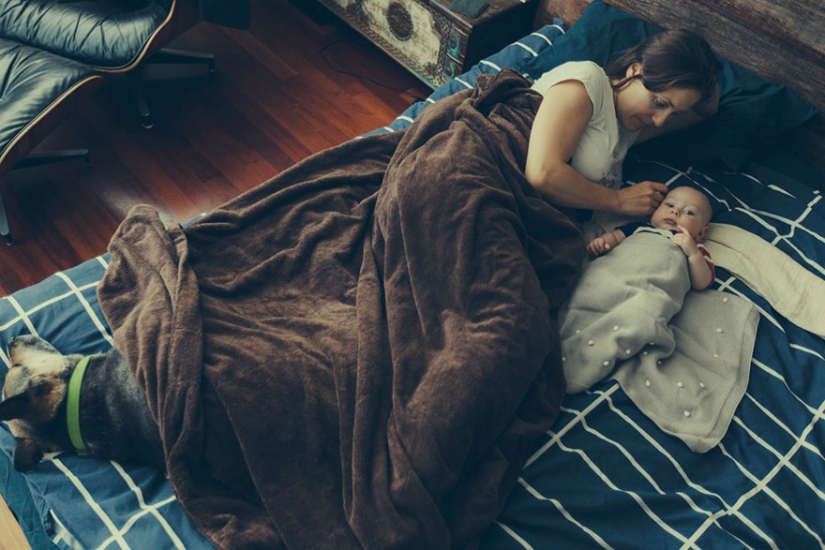 Loving husband hired 23 artist for an incredible gift to his wife Loving husband hired 23 artist for an incredible gift to his wife