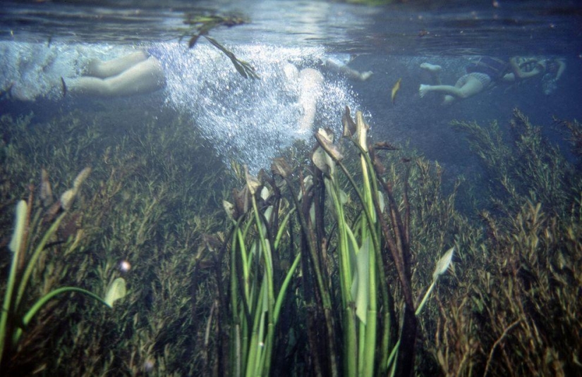 Lugares con el agua más pura, donde realmente quieres nadar
