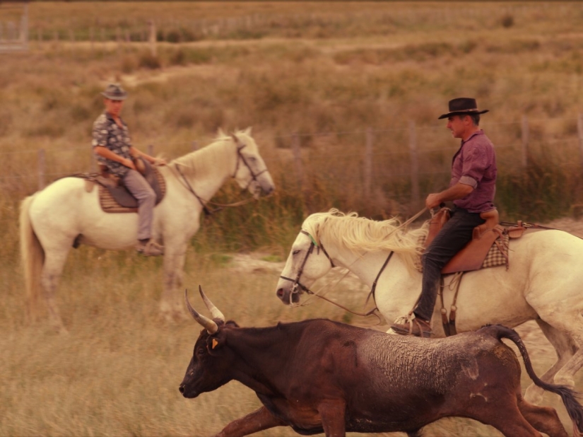 Lugares para visitar en Francia Lugares para visitar en Francia