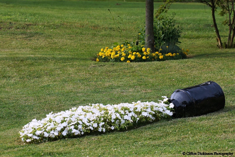 Macetas que convertirán sus flores en algo increíble!