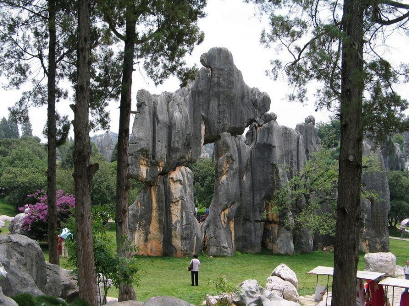 Maravillas del mundo: el bosque de piedra de Shilin, China Maravillas del mundo: el bosque de piedra de Shilin, China