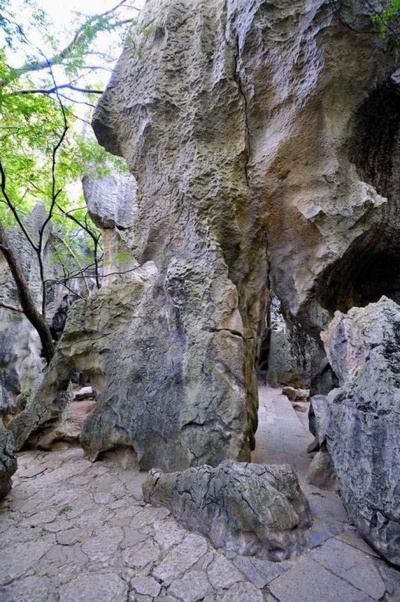 Maravillas del mundo: el bosque de piedra de Shilin, China Maravillas del mundo: el bosque de piedra de Shilin, China