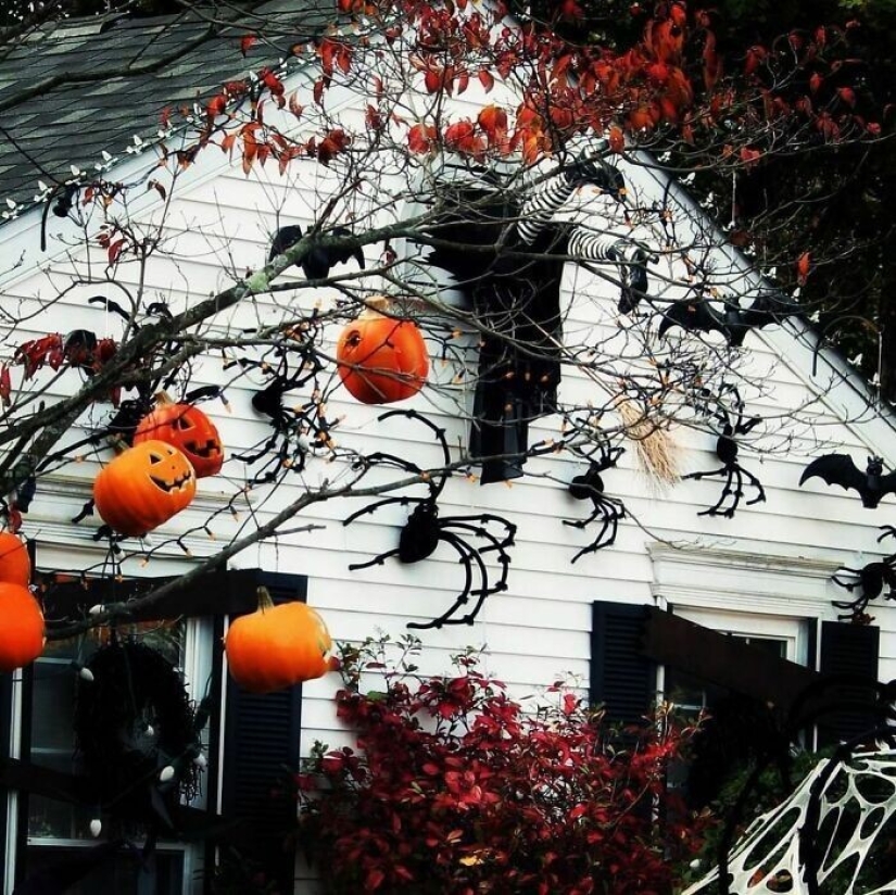 Memno, a gran escala, pesadilla: 30 ejemplos de decoración ingeniosa de los fanáticos de Halloween