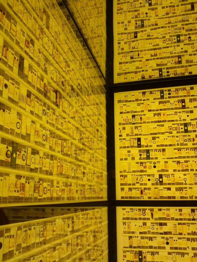 Micrarium: Museo de animales microscópicos Micrarium: Museo de animales microscópicos