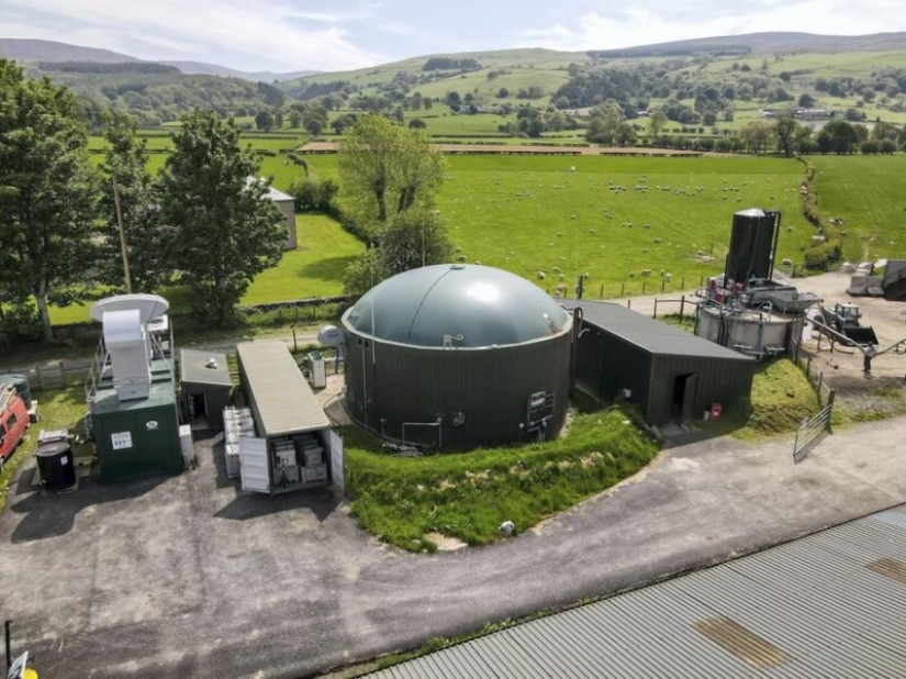 Minería ambiental: el británico invierte estiércol en el negocio y recibe criptomonedas Minería ambiental: el británico invierte estiércol en el negocio y recibe criptomonedas