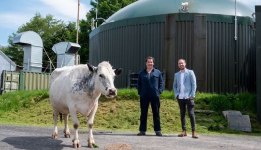 Minería ambiental: el británico invierte estiércol en el negocio y recibe criptomonedas