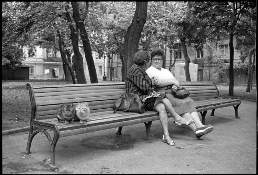 Misha Pedan and the best pictures from his photo album "The End of a beautiful era" Misha Pedan and the best pictures from his photo album "The End of a beautiful era"