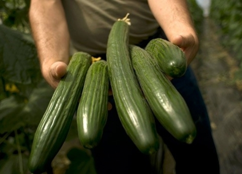 Mortal trata, o prefieren permanecer en silencio productores