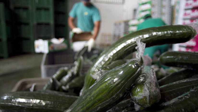 Mortal trata, o prefieren permanecer en silencio productores