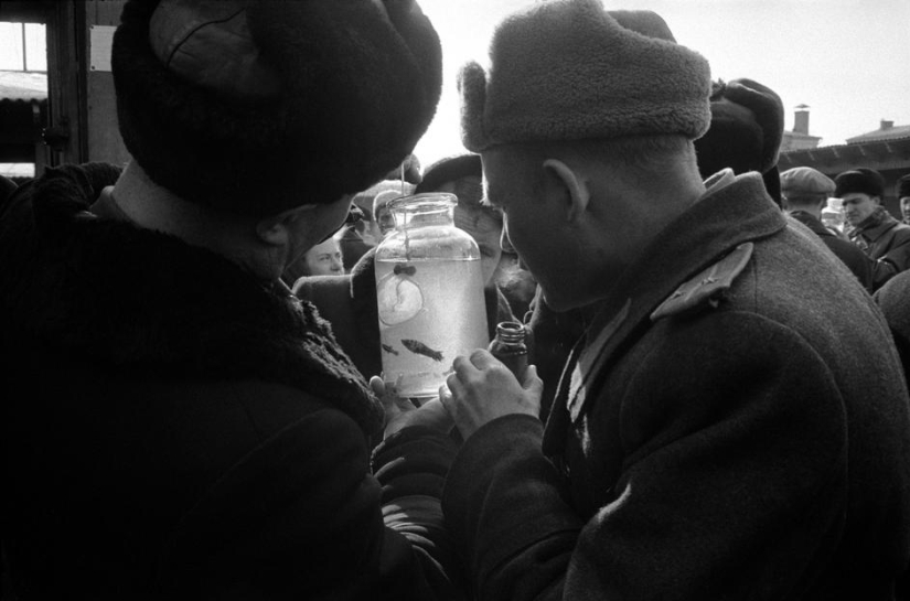 Moscow 1958 in photographs by Erich Lessing