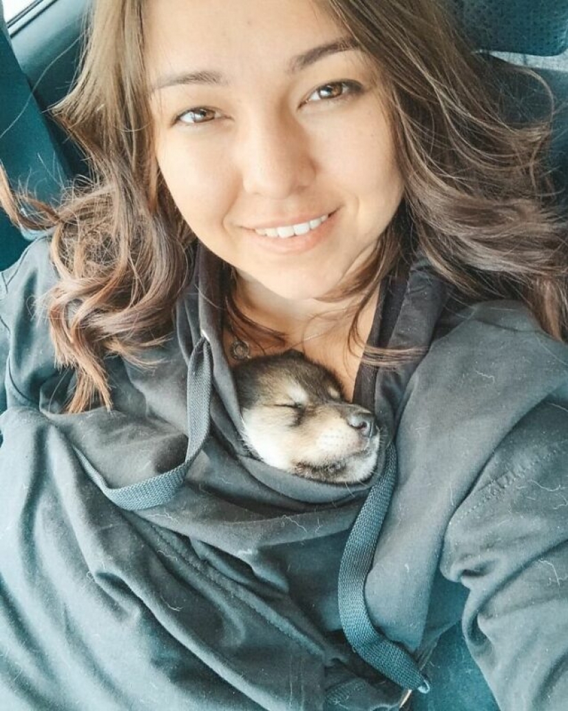 Mujer rusa salvó un pequeño cachorro de lobo y consiguió un amigo leal