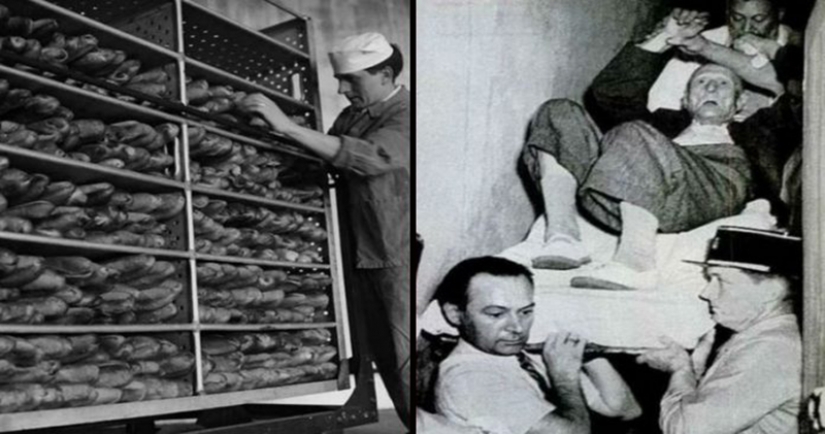 Mystery of the cursed bread: who is to blame, the CIA, Stalin, or ergot? Mystery of the cursed bread: who is to blame, the CIA, Stalin, or ergot?