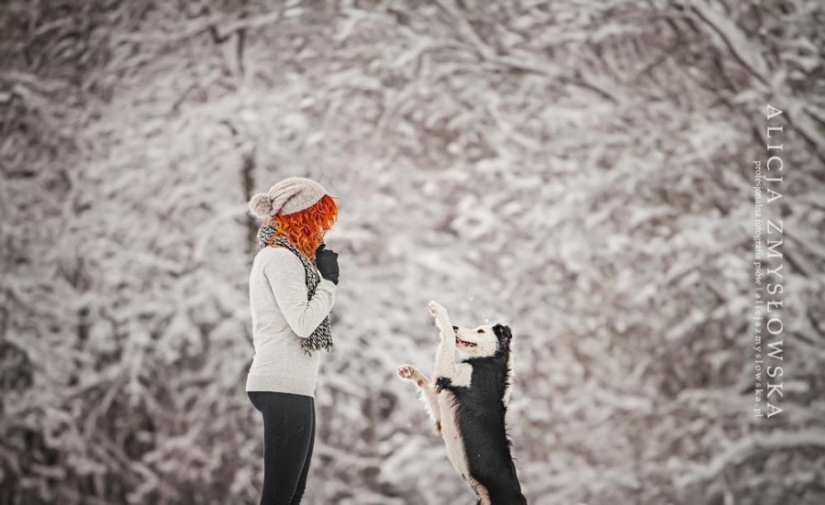 Nadie ha hecho retratos tan geniales de perros