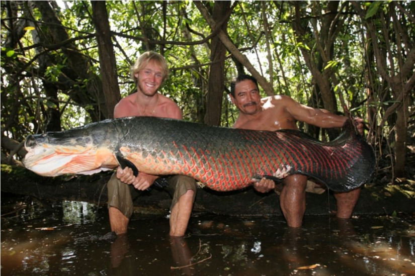 Newly discovered animals you haven't seen yet