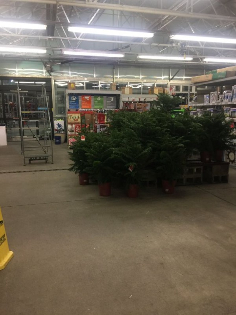 No es el lugar que pinta la foto, pero el fotógrafo es el lugar: cómo tomar fotos hermosas en lugares feos No es el lugar que pinta la foto, pero el fotógrafo es el lugar: cómo tomar fotos hermosas en lugares feos