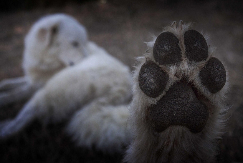 No one has ever filmed life in the village so bright