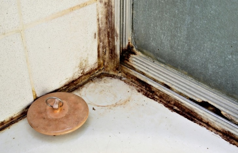 No sólo en el interior: 12 de la más inusual, pero eficaces, para usar vodka