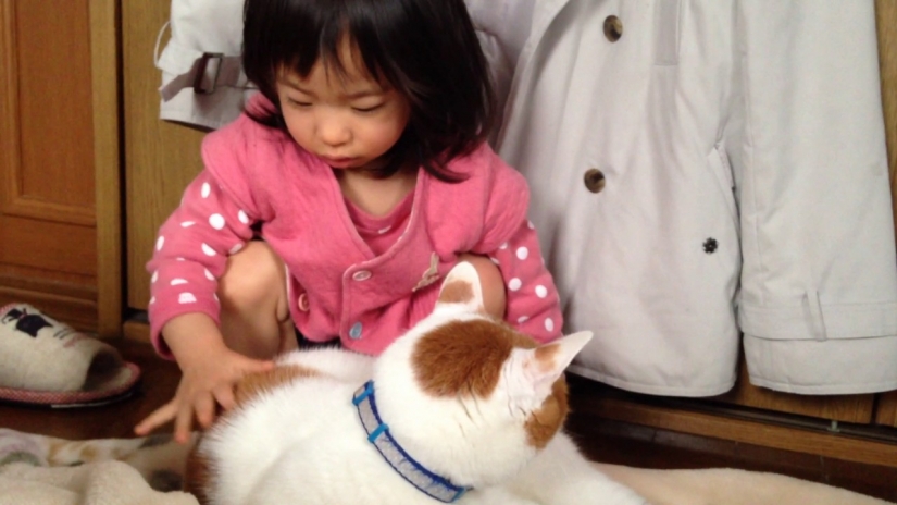 Novias virtuales y alquiler de mascotas: cómo se ve el reverso del milagro económico japonés Novias virtuales y alquiler de mascotas: cómo se ve el reverso del milagro económico japonés