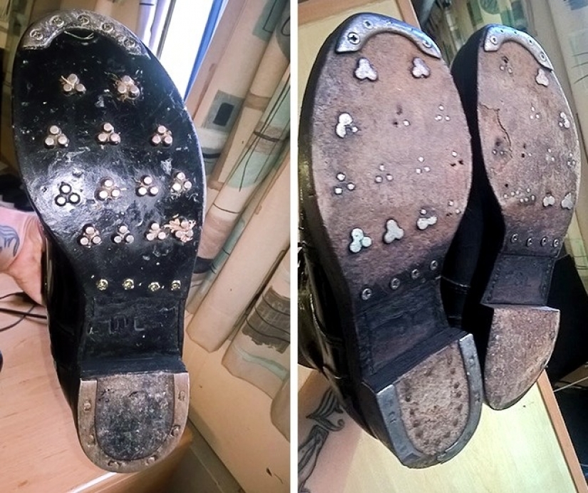 "Now I've seen everything": 25 photos, after viewing which you can safely say so