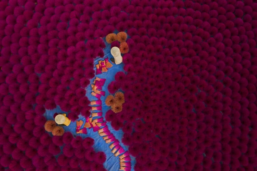 "Nuestro mundo es hermoso": mejores fotos del CEWE Photo Award 2021 "Nuestro mundo es hermoso": mejores fotos del CEWE Photo Award 2021