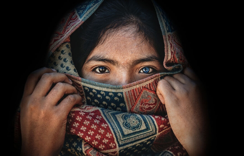 "Nuestro mundo es hermoso": mejores fotos del CEWE Photo Award 2021 "Nuestro mundo es hermoso": mejores fotos del CEWE Photo Award 2021