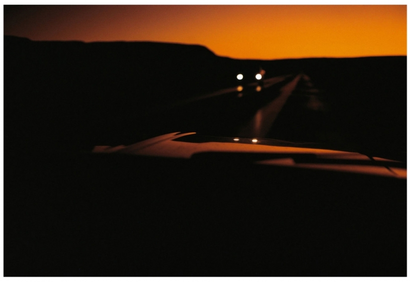 Obras maestras de la arquitectura natural-nidos de pájaros