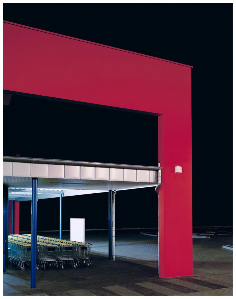 Obras maestras de la arquitectura natural-nidos de pájaros