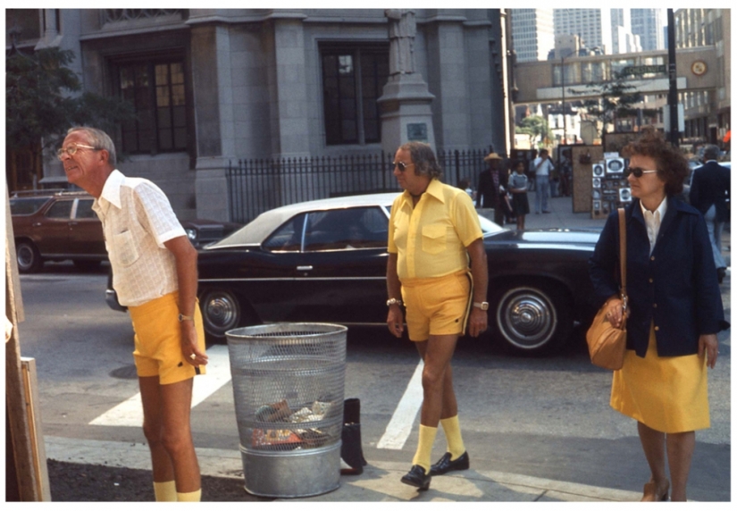 Obras maestras de la arquitectura natural-nidos de pájaros