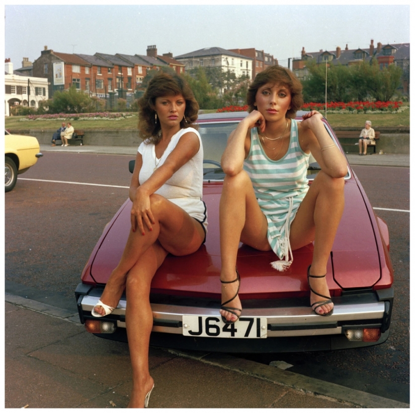 Obras maestras de la arquitectura natural-nidos de pájaros